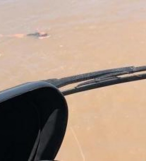 Veja momento que policial pula no rio para salvar mulher que caiu da ponte