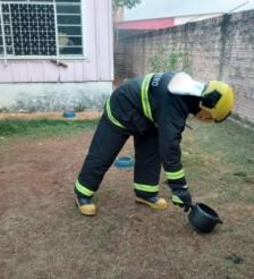 Mulher dorme com panela no fogo e fumaça mobiliza bombeiros no Nortão