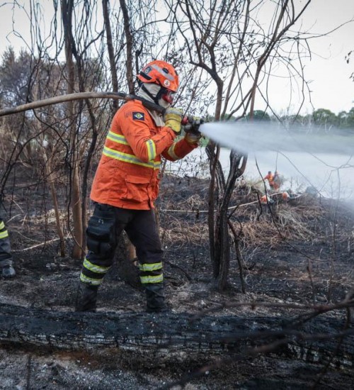 Tragédia na Amazônia: Brigadista do Ibama Morre Carbonizado em Incêndio na Terra Indígena Capoto Jarina