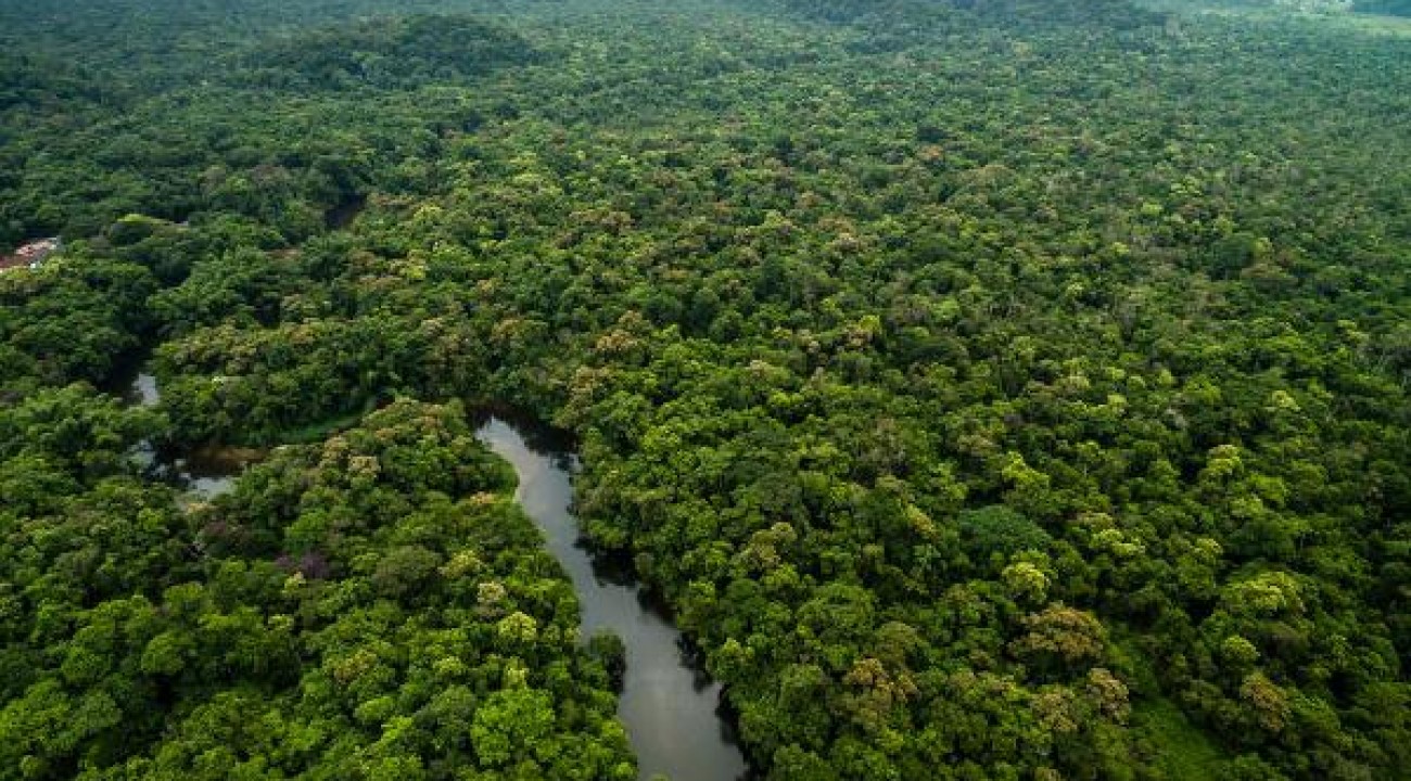 Mato Grosso reduz desmatamento em 74%, aponta Imazon