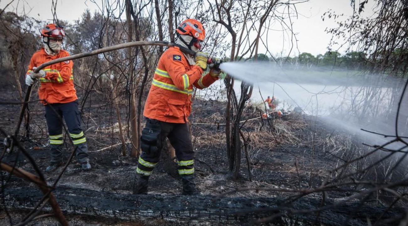 Tragédia na Amazônia: Brigadista do Ibama Morre Carbonizado em Incêndio na Terra Indígena Capoto Jarina